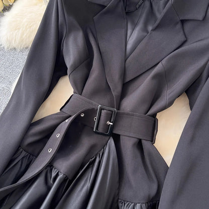 Long Sleeve dress/ belt